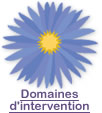 Nos domaines d’intervention